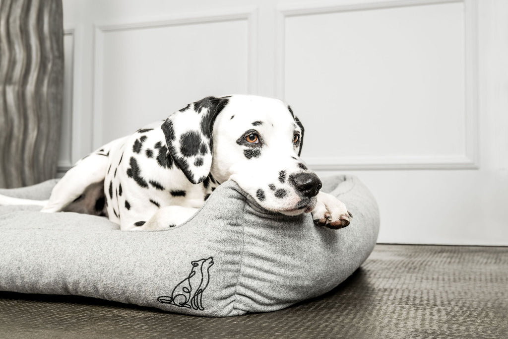 Hundebett Belle Hellgrau