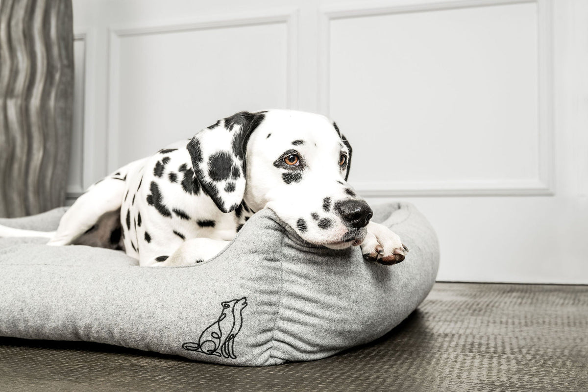 Hundebett Belle Hellgrau