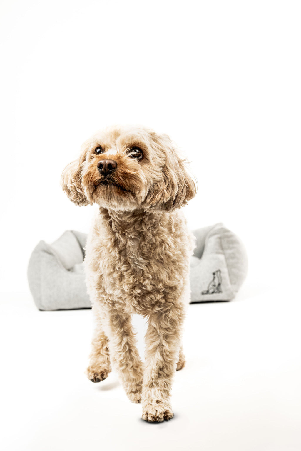 Hundebett Belle Hellgrau