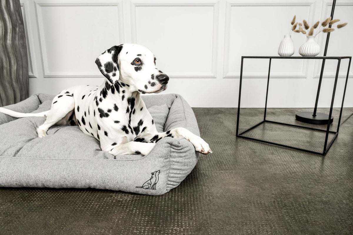 Hundebett Belle Hellgrau