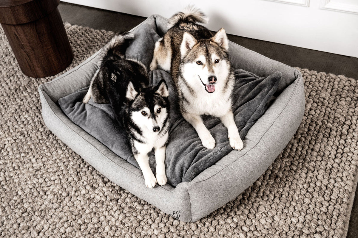 Dream-Duo Mix&Match