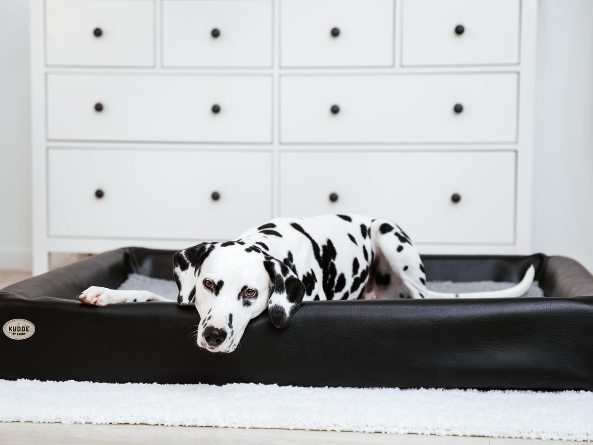 Hundebett KUDDE Kunstleder