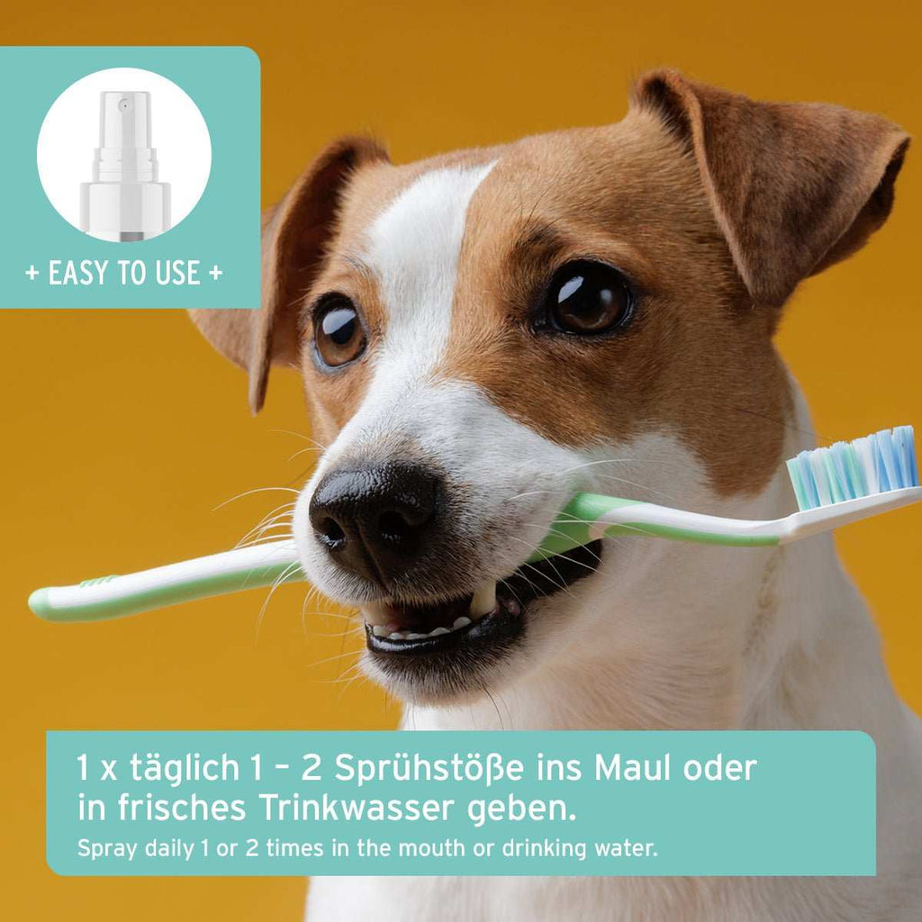 AniForte Denta Clean & Care Dentalspray – Herstellerbild 4