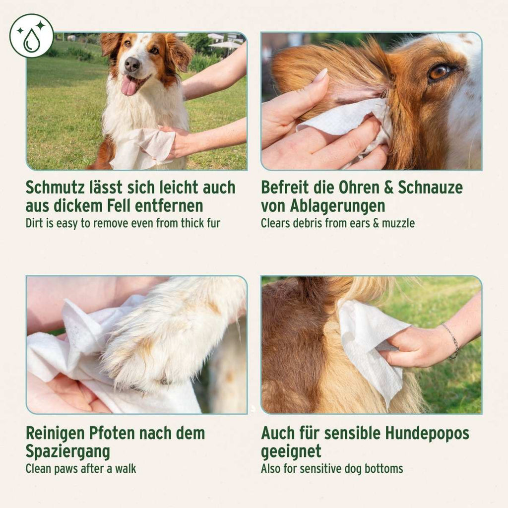 AniForte Pflegetücher Aloe Vera 100 Stück – Herstellerbild 5
